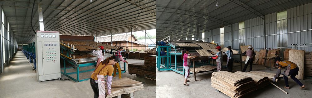 单板干燥机设备 单板干燥机设备