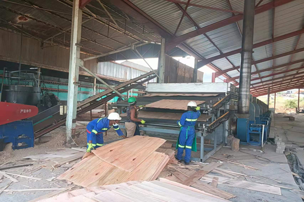 杨木单板男女羞羞视频大全免费