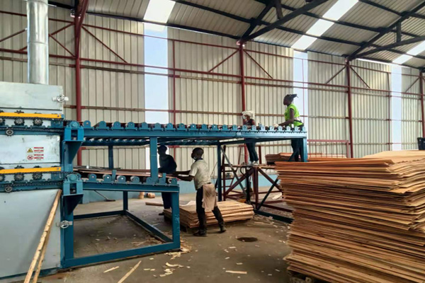 双层单板羞羞视频APP安卓安装下载