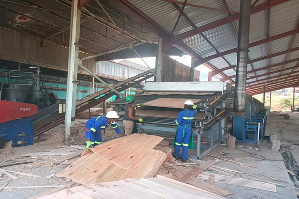 杨木单板男女羞羞视频大全免费