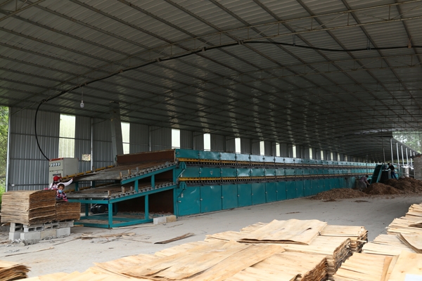 六安自动进板羞羞视频APP安卓安装下载