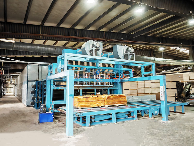 桉木单板男女羞羞视频大全免费